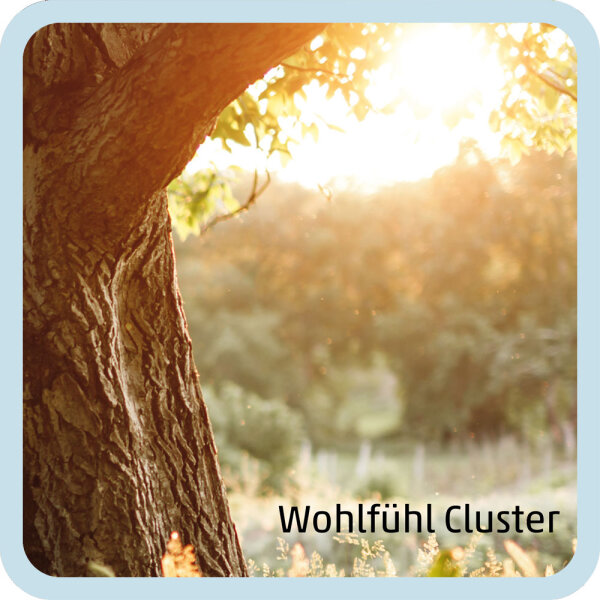 Wohlfühl Cluster (DinA5)