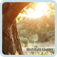 Wohlfühl Cluster (DinA5)