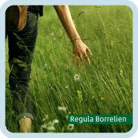 Regula Borrelien (DinA5)