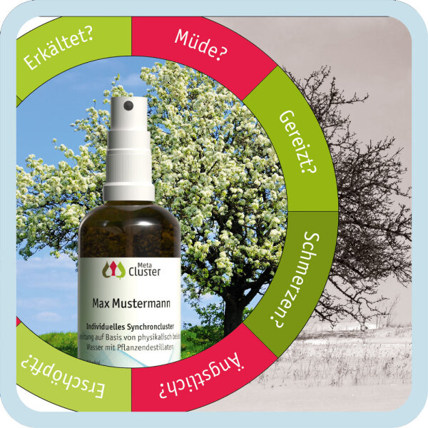 Clustermedizin (DinA5)