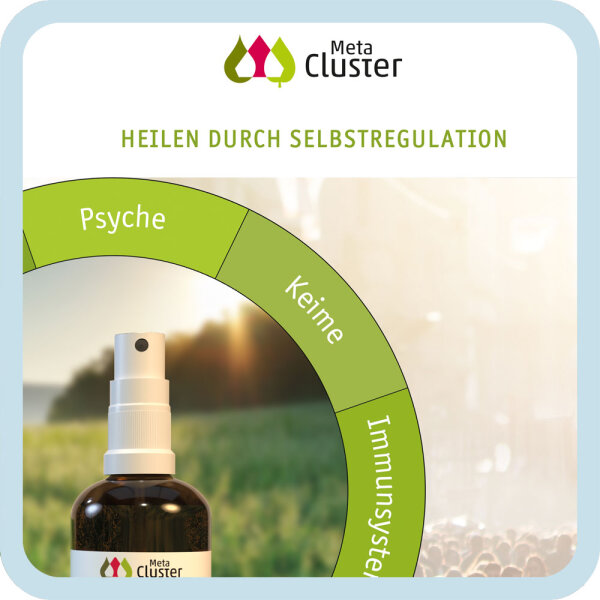 Heilen durch Selbstregulation (DinA4)