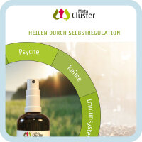 Heilen durch Selbstregulation (DinA4)