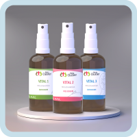 Cluster Vital Mitochondrien Kur